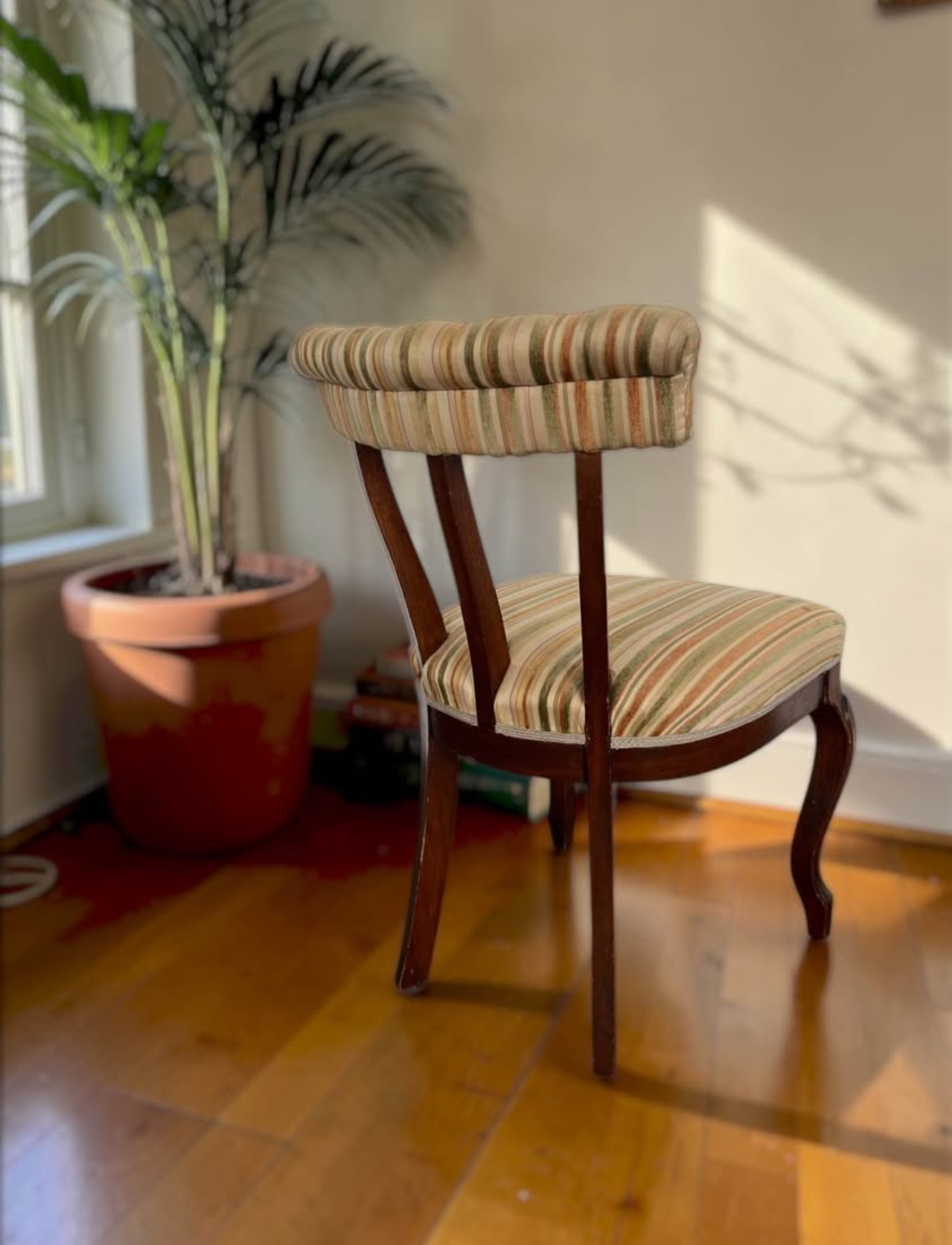 Pair of decorative chairs