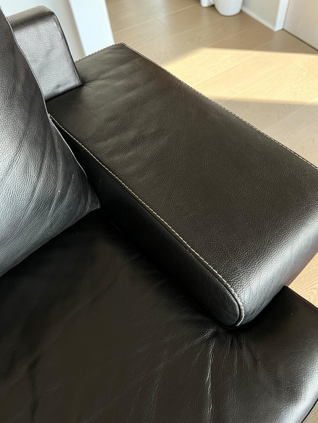 Modern Genuine Leather Sofa