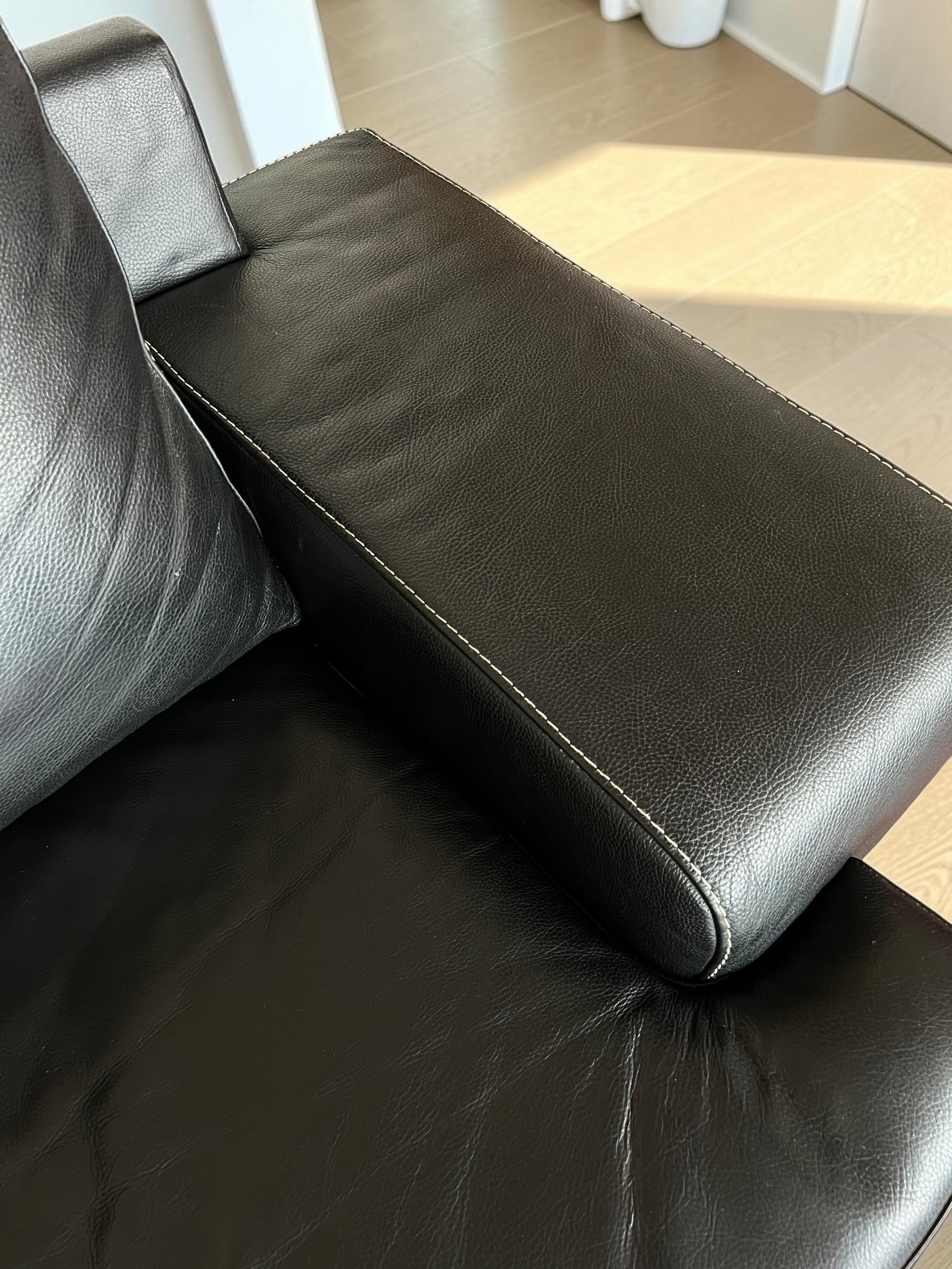 Modern Genuine Leather Sofa
