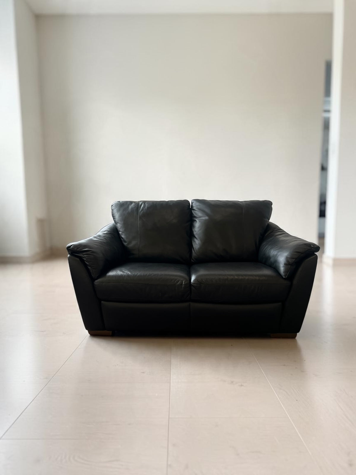 Natural Leather 2-Seater Sofa (170cm)
