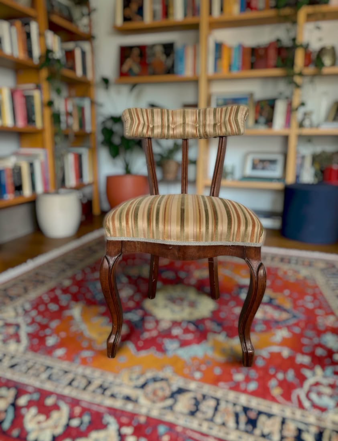 Pair of decorative chairs